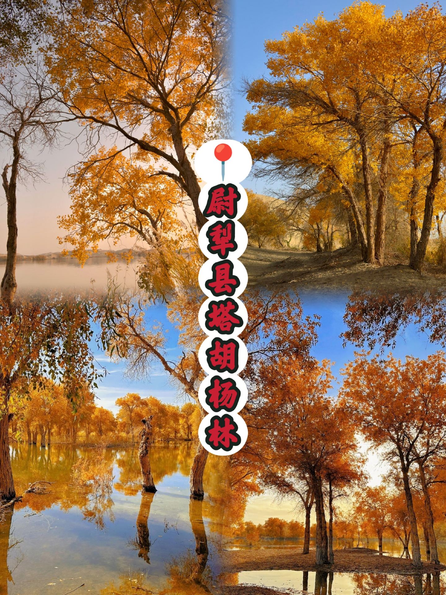 Rừng bạch dương Populus euphratica ở huyện Yuli | Một thế giới cổ tích bạn nhất định phải ghé thăm vào mùa thu 🍂
