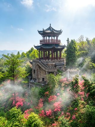 A hidden gem in the valley of Tongling! Azaleas bloom across the mountains in April, a soothing solo trip [Joyful]. I decided to go to Tongling alone these past two days and was pleasantly surprised.