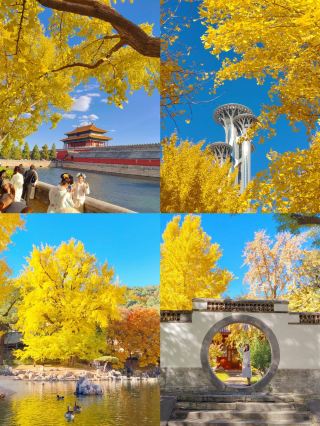 Don’t come to Beijing in autumn unless you want to stay forever