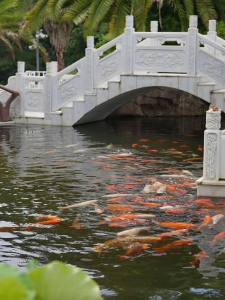 Qiandao Lake Conferences & Team Building | The Perfect Spot for Work and Play.