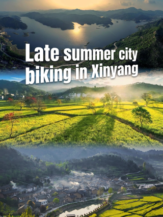信陽Citybike｜夏の終わりの涼しさを追いかけて