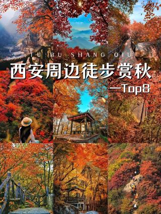 🍁秦嶺秋色天花板！這8個徒步地美到犯規