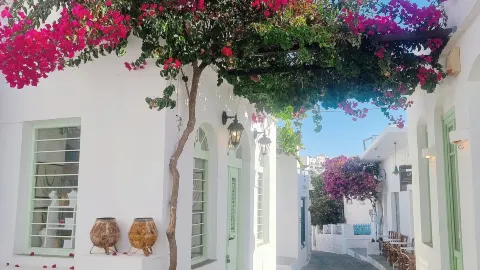 10-day multi-country itinerary: Algeria and more — traveler post in Algiers