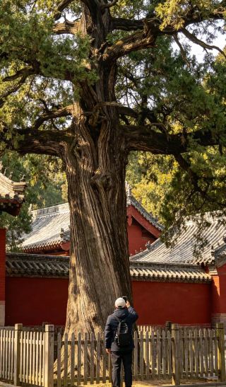 Must-see Arhat statues at Fulai Mountain