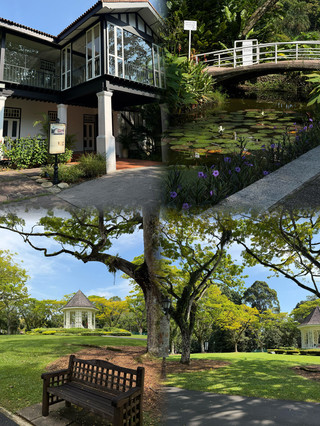 Singapore National Day Trip: A 3–5 Day Stay, Guaranteed Smooth Sailing!
