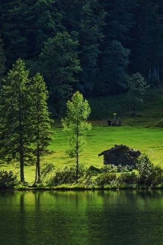 A lake deep in the mountains of Southern Germany, where fish and wild ducks are everywhere.