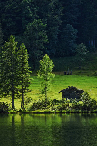 A lake deep in the mountains of Southern Germany, where fish and wild ducks are everywhere.
