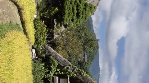 The ultimate 7-day Japan travel guide, save this now! — traveler post in Ena