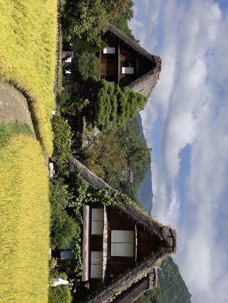 7日間で日本を満喫！保存版ガイドを今すぐチェック