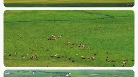 Места для неспешного отдыха с пожилыми родителями на Национальный день, кто понимает, это правда не утомительно — traveler post in Луи