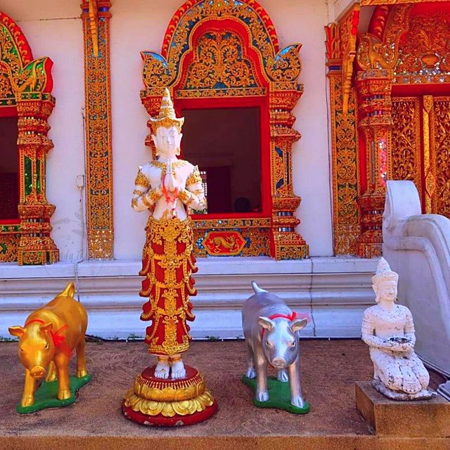 🎐 วัดบนดอยไม่ "แฟ๊บ"
