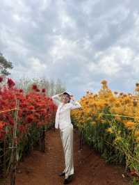 สวนดอกไม้เปิดใหม่ @ไร่คุณอารียา กระบี่