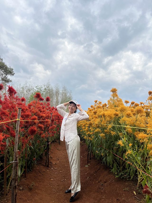 สวนดอกไม้เปิดใหม่ @ไร่คุณอารียา กระบี่