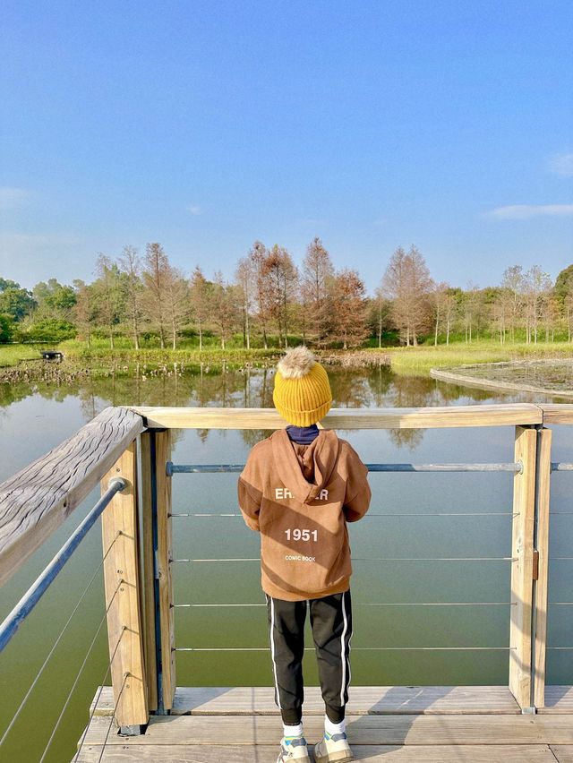 濕地公園冬日美景