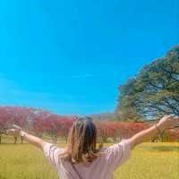 เที่ยวสระบุรีกันจร้า  ฟาร์มโคนมไทยเดนมาร์ค