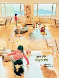 海景貓cafe
