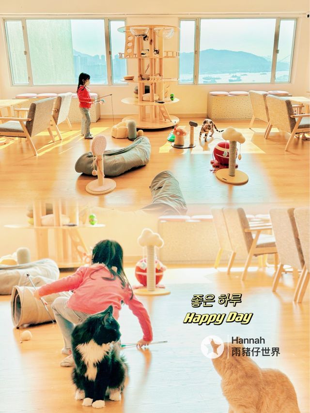 海景貓cafe