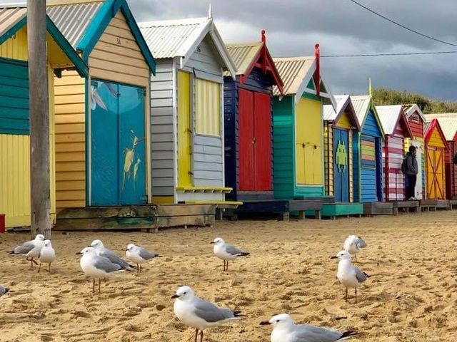 Brighton Bathing Boxes at Victoria’s beach 🇦🇺