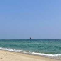 서퍼들이 좋아하는 파도가 몰려온다! 강릉해수욕장🏖️