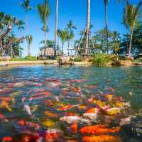 THE EDEN SPA ผ่อนคลายในสวนสวรรค์