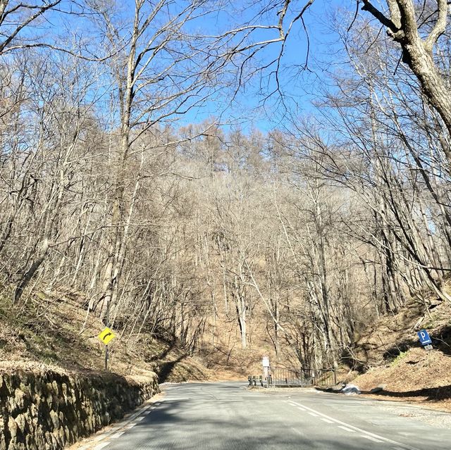 【長野県】白糸の瀧に行こうとしたけど行けなかった