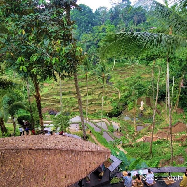 【Bali🇮🇩ウブドで空中ブランコ】