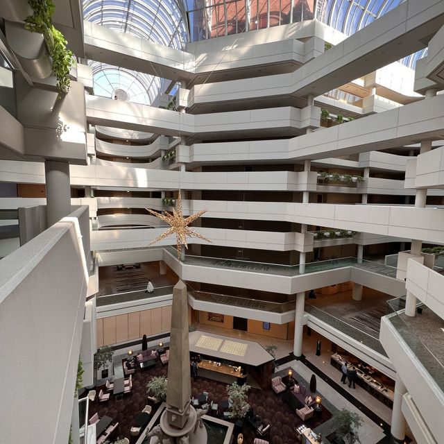Unparalleled Luxury: Hyatt’s Spacious Room