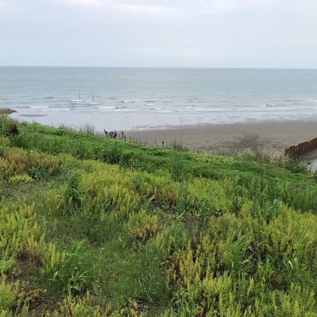 望海步道草地區
