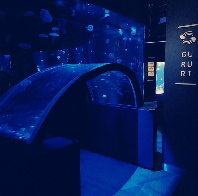 オオサンショウウオを堪能できる　京都水族館