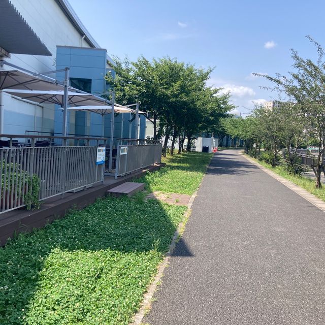 越谷レイクタウン「大相模調整池」