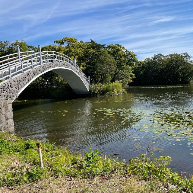 【大沼国定公園‼️】