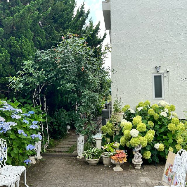 河口湖!! お花に囲まれたCafe☕️