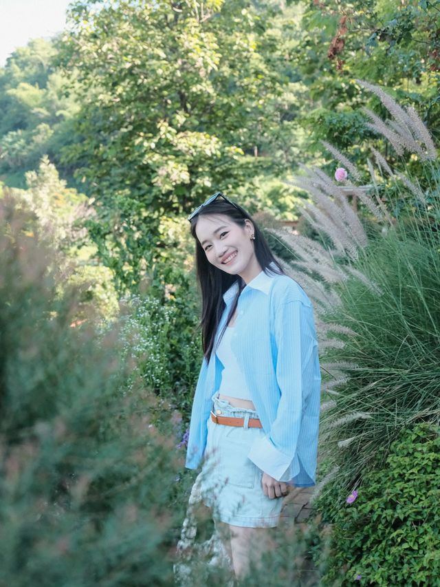 Mori Natural Farm โมริ เนเชอรัลฟาร์ม เชียงใหม่🌳☁️