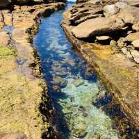 Freshwater Rock Pool 