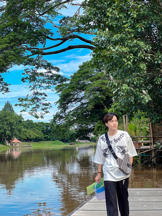 ปล่อยปลาวัดชัยมงคล เชียงใหม่