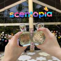 Create Your Own Personality Perfume