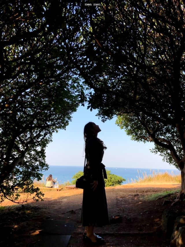 제주 여행 코스 추천: 도두봉 키세스존, 무지개해안도로