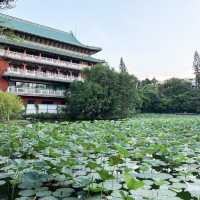 迷失在綠意中🌿🌺 台北植物園