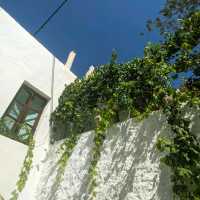 PICTURESQUE NAXOS ISLAND, GREECE!