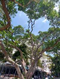 The Sky Gallery คาเฟ่สุดฮิตในพัทยา 