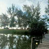 เที่ยวแบบธรรมชาติ