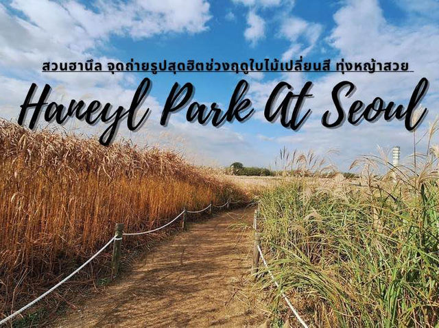 ฮานึลปาร์ค (HANEUL PARK) 