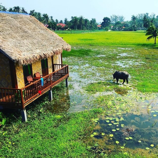 The Gemalai Village