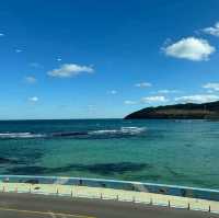 제주 함덕, 이런 ocean view 카페 흔치 않아요!!