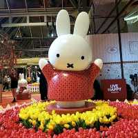 太古城Miffy