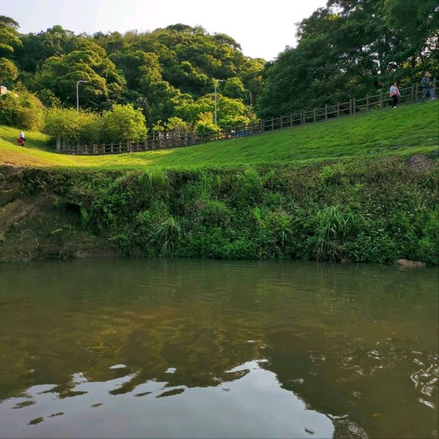 花開正好-大溝溪生態治水園區