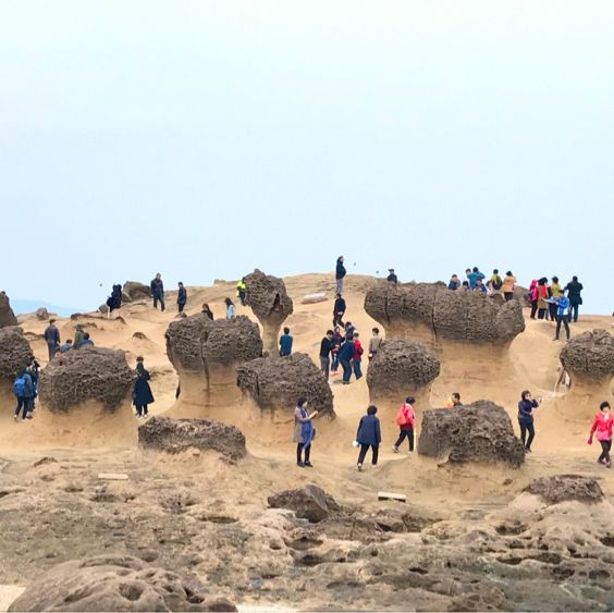台湾のまるで宇宙のような奇岩の風景【野柳地質公園】