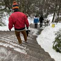 黄山を見ずして山を見たと言うなかれ。高圧的ですが納得です