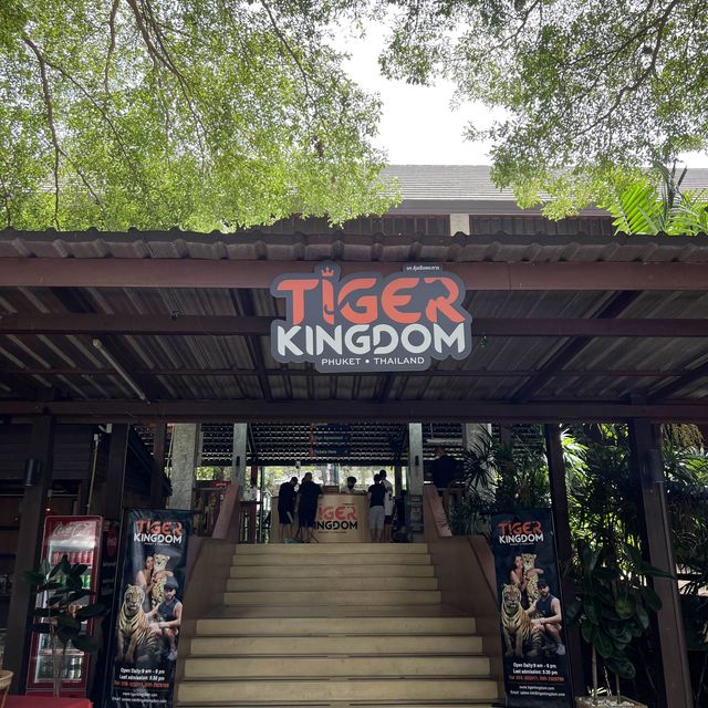 Tiger kingdom in Phuket Thailand 