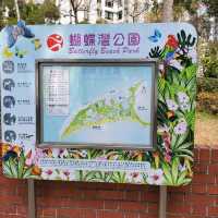 蝴蝶在飛舞